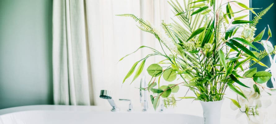 Utah home builder Green indoor plants in vase in bathroom , home interior concept